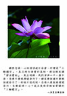  雖然念佛，心地清淨絕不染著，所謂是「三輪體空」。