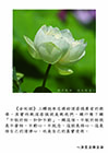 不取於相，如如不動