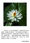 唯心所現，唯識所變