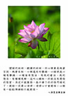 清淨心才會開悟！