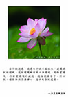 煩惱染污了清淨心，這才有苦的感受。