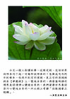 依報隨著正報轉