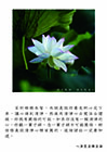 悟是從清淨心裡面開的