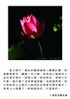 真正修行，要在紅塵裡頭修！