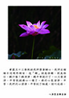 我們的心清淨、平等到了極處，就叫成佛。