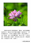 我勸同修們不要看報紙、電視，這些都擾亂我們的心。