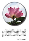 「三心」就是菩提心，直心、深心、大悲心