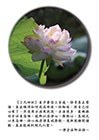 《了凡四訓》至少要念三百遍，你才真正覺悟，真正曉得如何改造命運。