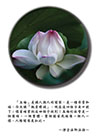 親愛精誠