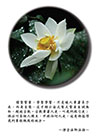 讀聖賢書，學聖學賢，不是被人牽著鼻子走