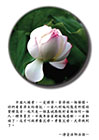 中國人講孝，一定講舜，拿舜做一個榜樣。