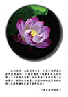 凡是念佛往生，如果不懺罪是決定不能得生的