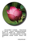 誠能感諸佛菩薩，也能感一切善神，亦能感一切惡神。