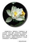 妄心是凡夫、外道、魔王，用的是妄心，佛菩薩用的是真心