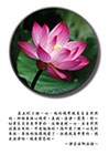 真正到了理一心，他的境界就是自自然然的，那個菩提心現前。