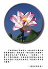 「發菩提心，一向專念」