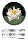 我們今天待人接物是不是用真心？