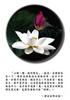 「心佛一體，能所雙忘」