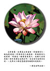 有善根的人他能信，有福德的人他肯修，所謂是一種老實忠厚人，這種人容易成就。