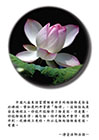 捨得