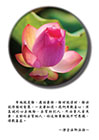 布施就是捨，應該要捨，捨財就得財，捨法就得聰明智慧