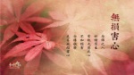 無損害心