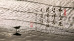 水色山光皆禪意 花香鳥語是道情