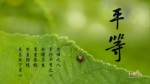 平等