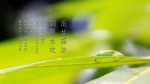 雨甘露法 潤眾生故