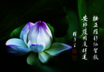撫正摧邪弘聖教 安邦護國度群迷