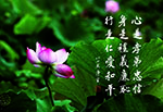 心是孝弟忠信 身是禮義廉恥 行是仁愛和平