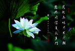 慈起無緣恩周庶類 悲興同體道啟多門