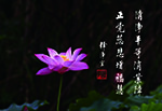 清淨平等消業障 正覺慈悲增福慧