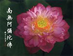 南無阿彌陀佛