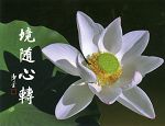 境隨心轉