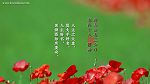 群書治要三六○ 桌布