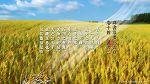 群書治要桌布