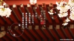 群書治要三六○ 桌布