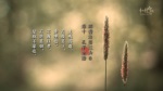 群書治要三六○ 桌布